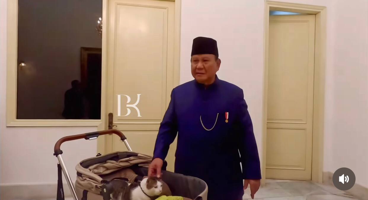 Potret The Cat 'Bobby Kertanegara' Kucing Kesayangan Prabowo Subianto yang Resmi Jadi Penghuni Istana 