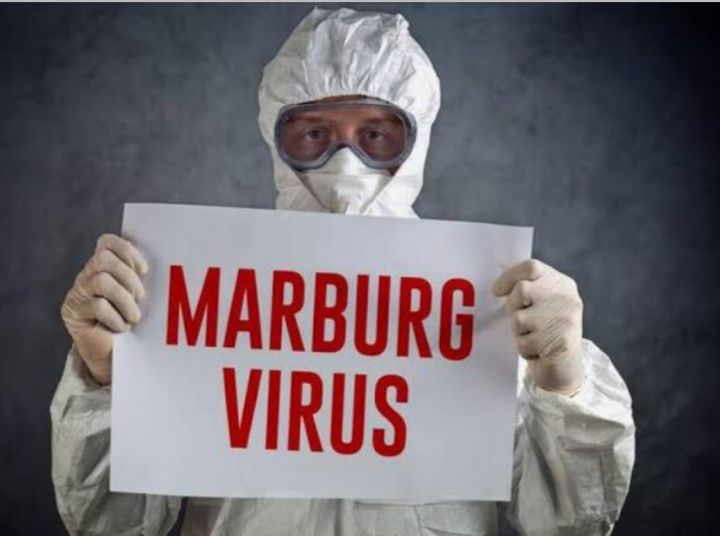 Bersiap jadi Pandemi: Virus Marburg, Penyakit yang Mengancam Kesehatan Global