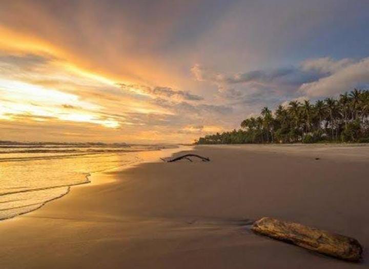 Ombak Pantai Pesisir Barat Krui Jadi 'Surga' Peselancar Internasional 