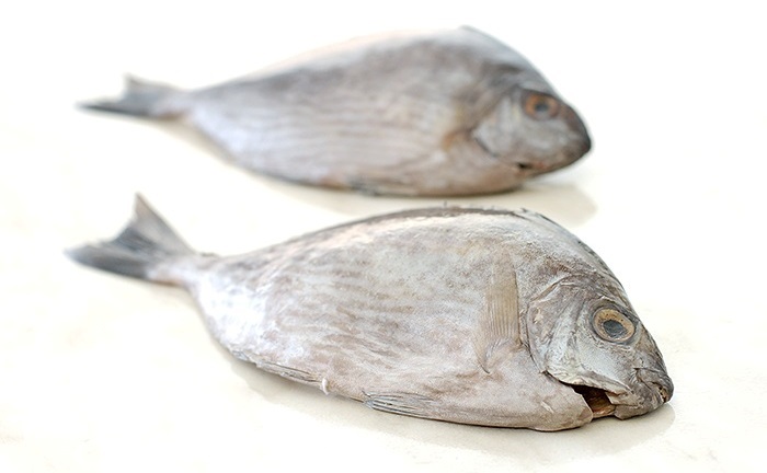 Ketahui Manfaat Ikan Barong yang Baik untuk Kesehatan Tubuh, Bisa Tingkatkan Fungsi Otak