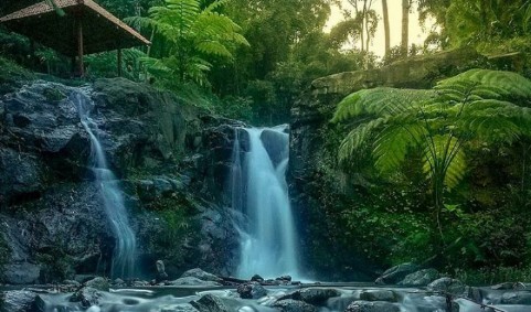 6 Rekomendasi Wisata Air Terjun di Trawas Mojokerto yang Instagramable dan Memanjakan Mata