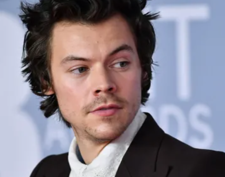 Siapa Artis Britania yang Terkaya saat ini? Harry Style Jawabannya