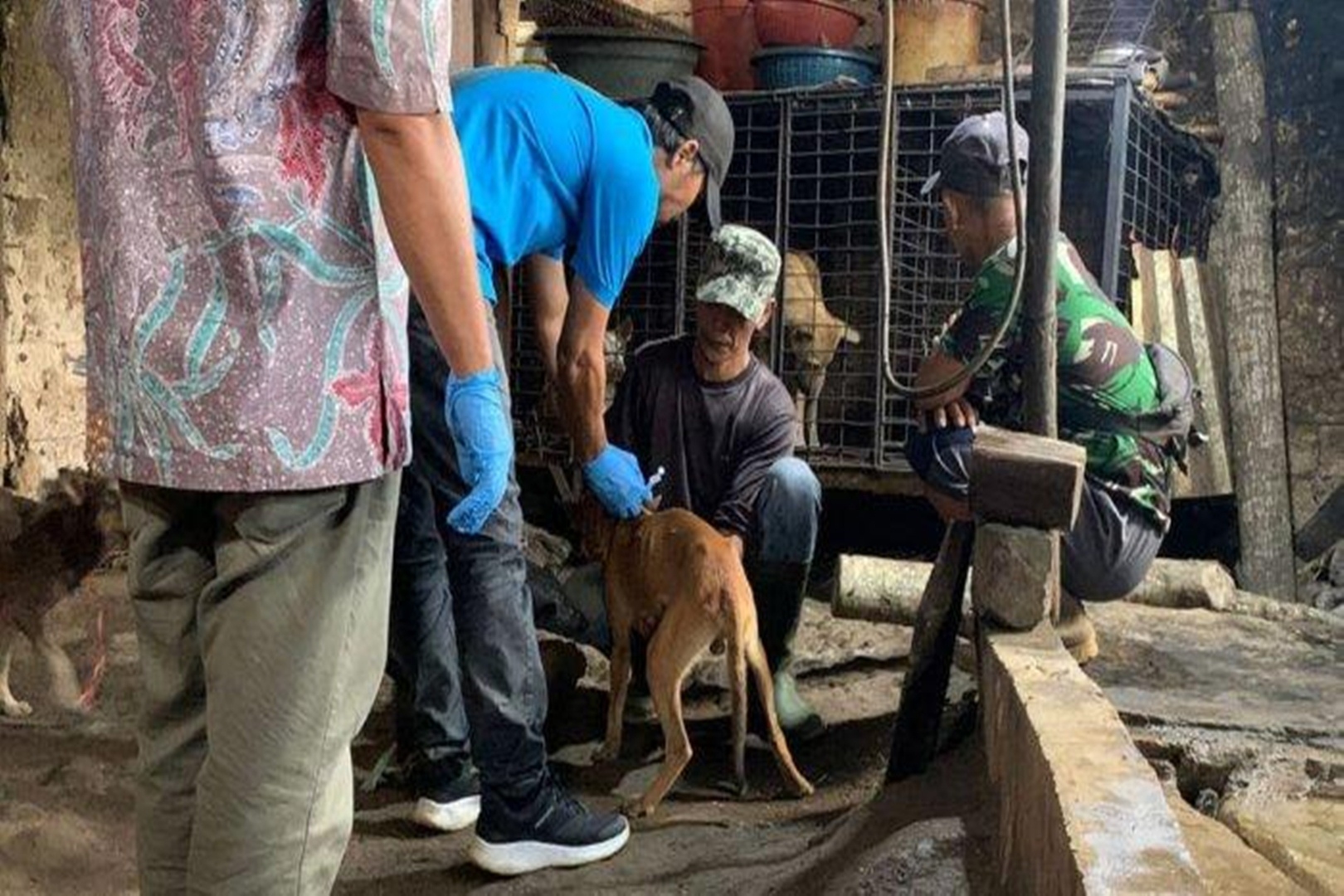 Estafet Jual Beli Anjing Ilegal untuk Konsumsi Sudah Berlangsung Lama, Pemasoknya dari Subang