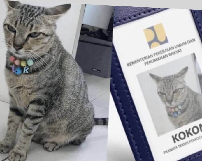 7 Pekerjaan Manusia yang Bisa Digantikan Kucing