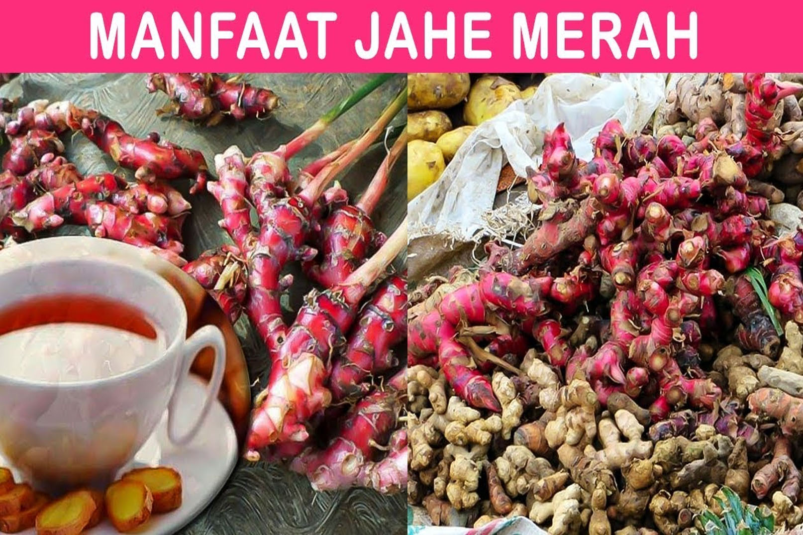 Manfaat Jahe Merah, Kekuatan Alam untuk Kesehatan Optimal