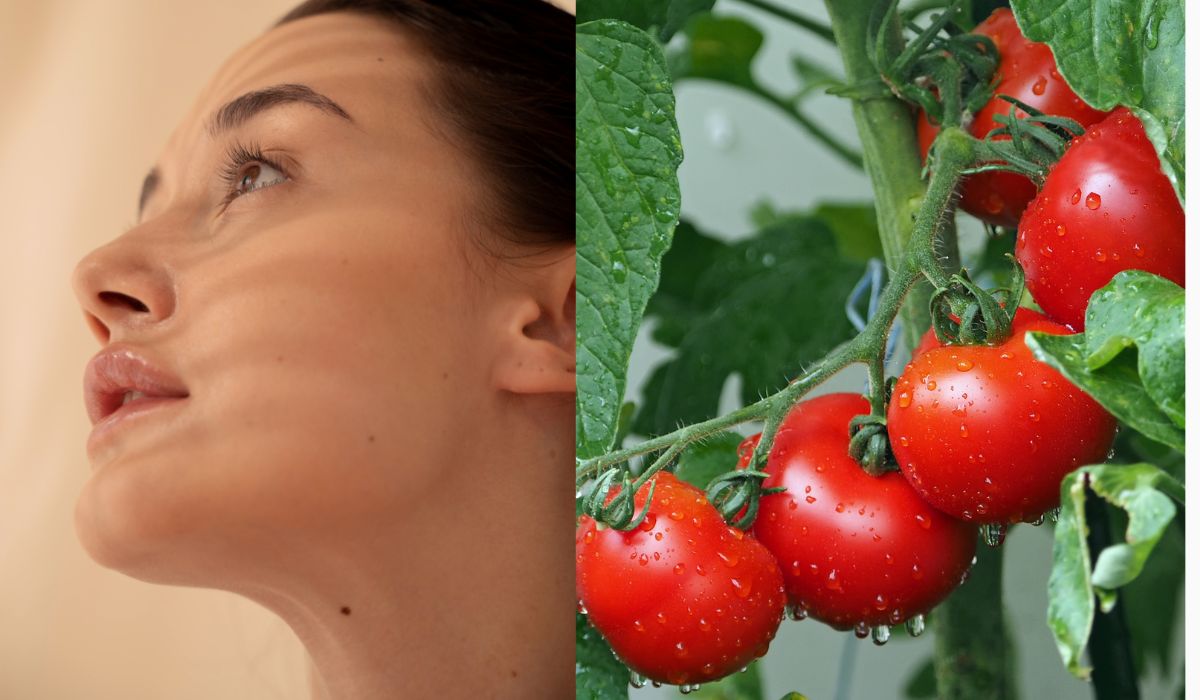 Manfaat Tomat Untuk Memutihkan Wajah Disesuaikan Dengan Kondisi Kulit