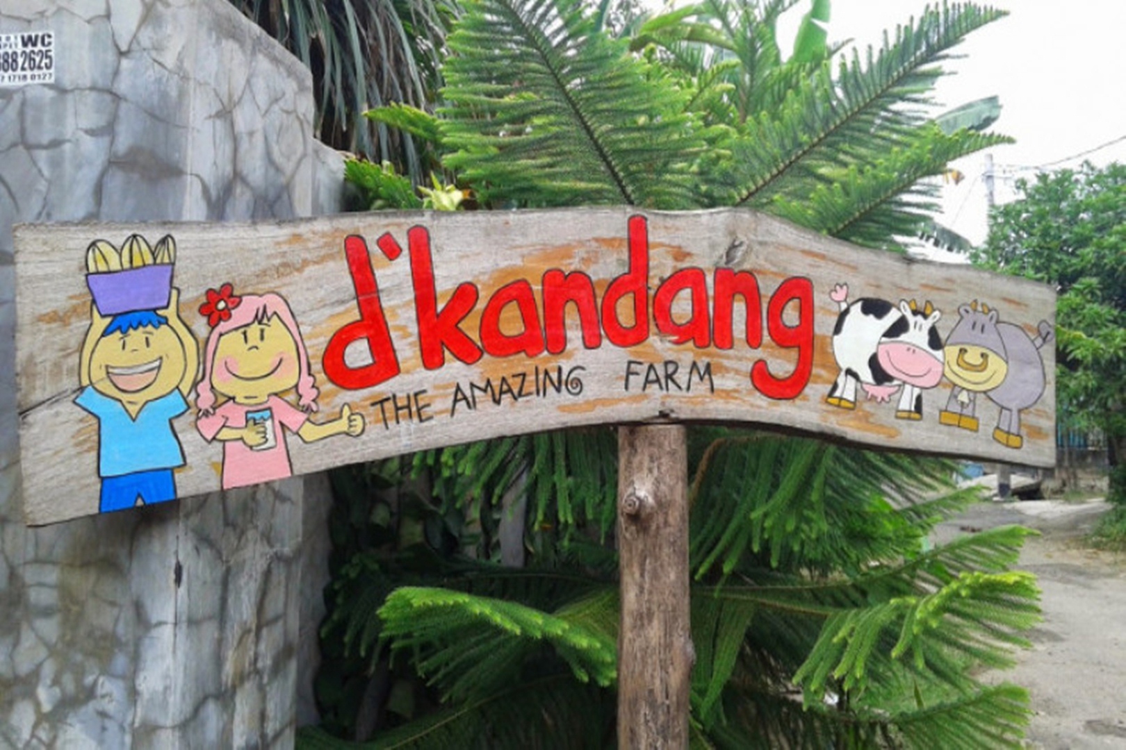 Wisata Edukasi D'Kandang Amazing Farm Depok, Menyenangkan dan Penuh Edukasi