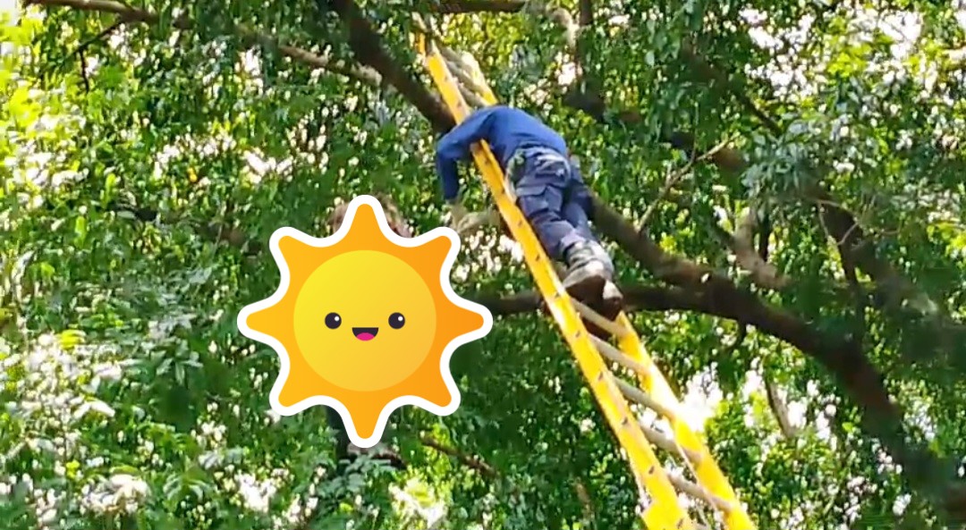 Gegerkan Warga Ciledug! Buruh Pabrik Tahu Ditemukan Tewas Tergantung di Pohon Rindang