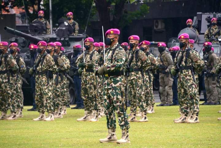 25 Kata-kata Ucapan HUT Corps Marinir TNI ke-78 Tahun pada 15 November 2023