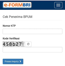 Pemerintah Salurkan Bantuan Untuk Usaha kecil Mikro,Dengan Skema BPUM