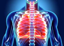 10 Cara Melindungi Paru-paru Agar Tetap Sehat: Pastikan Tubuh Dapat Oksigen yang Cukup