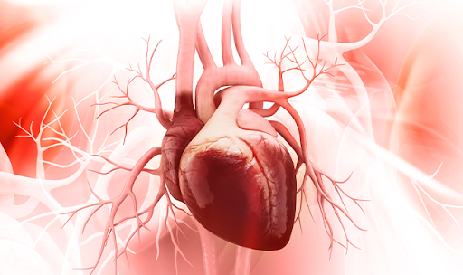 Mengenal Sindrom Kardiometabolik dan Efeknya Bagi Kesehatan 