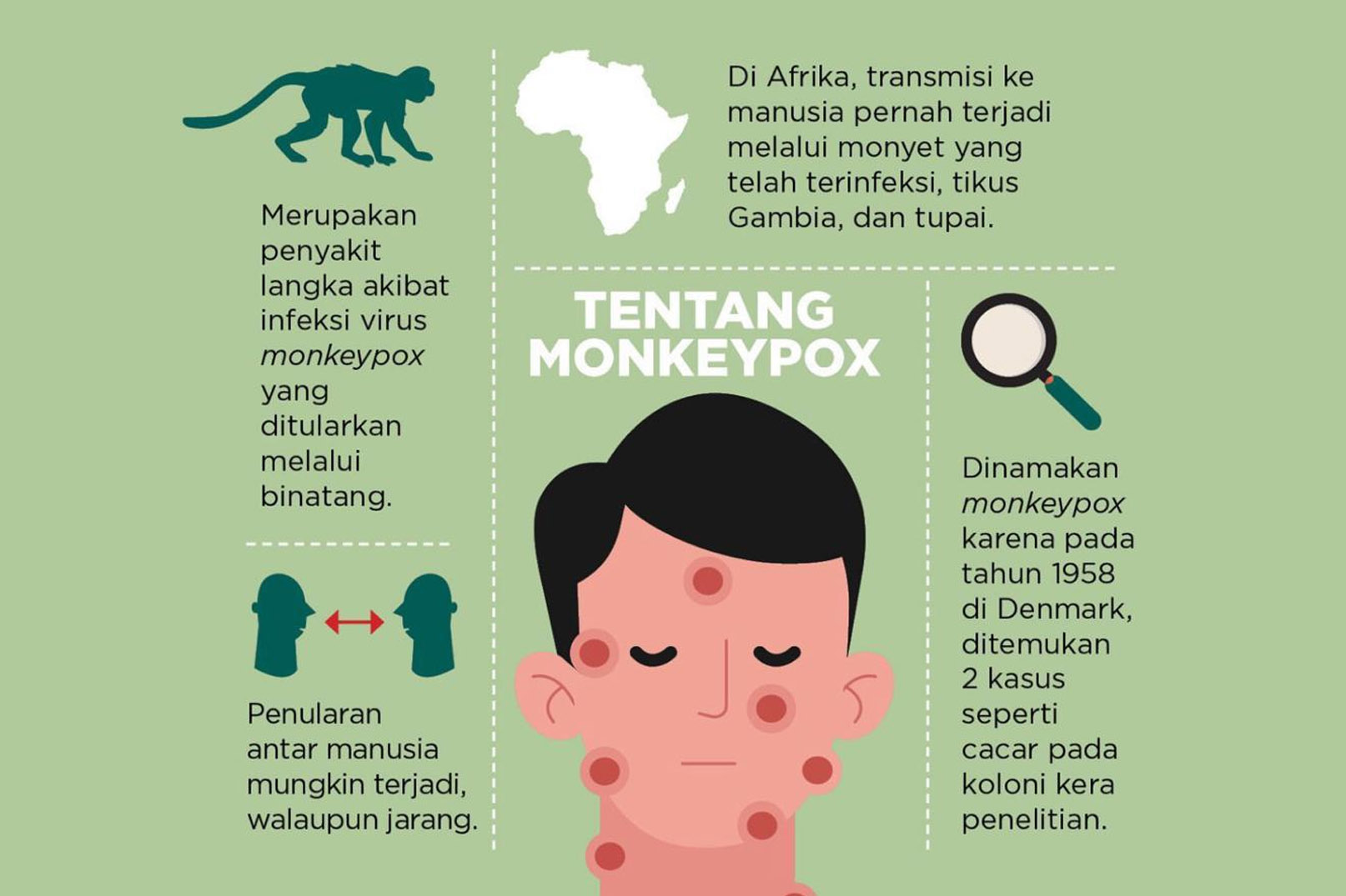 Meningkatnya Kasus Cacar Monyet Di Jakarta, Inilah Gejala Serta Penyebab Dan Cara Mengatasinya