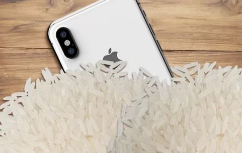 Kubur iPhone Basah di Beras Tidak Direkomendasikan, Ini Peringatan Apple 