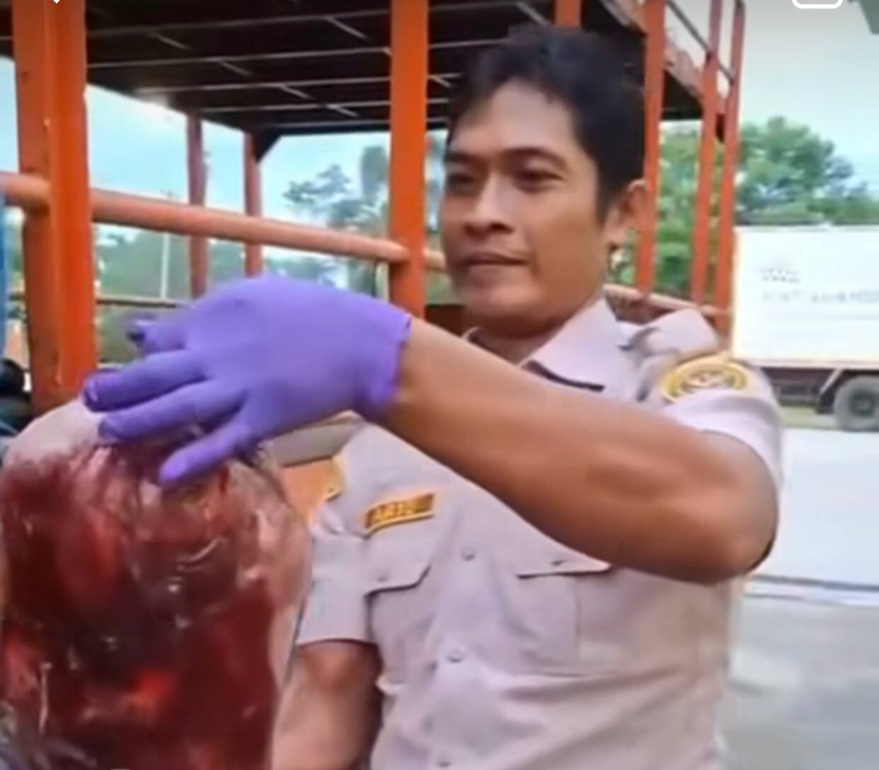 Detik-detik Truk Bermuatan Ratusan Kilogram Daging Celeng dari Bengkulu Gagal Diselundupkan ke Bekasi