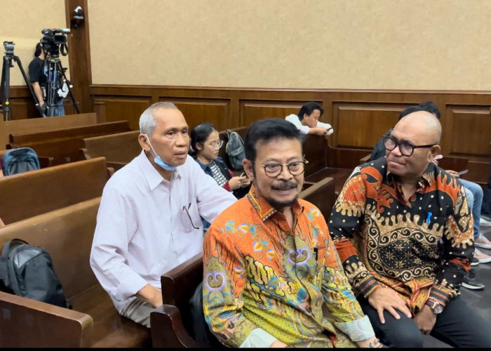  Eks Mentan Syahrul Yasin Limpo Divonis 10 Tahun Penjara, Begini Reaksi Partai NasDem