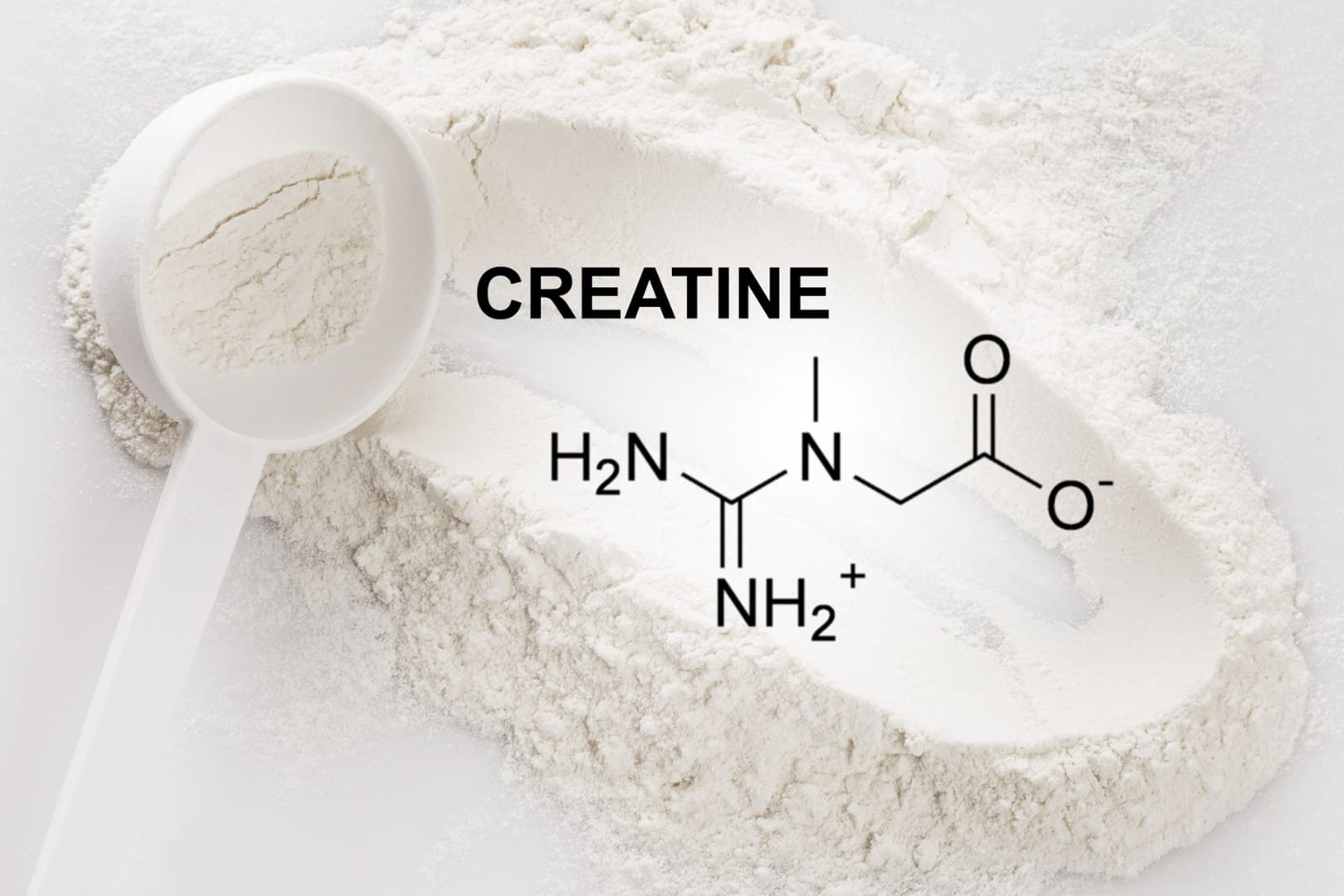 Mengenal Creatine dan Manfaatnya, Bisa Wujudkan Bentuk Tubuh Ideal Lho !