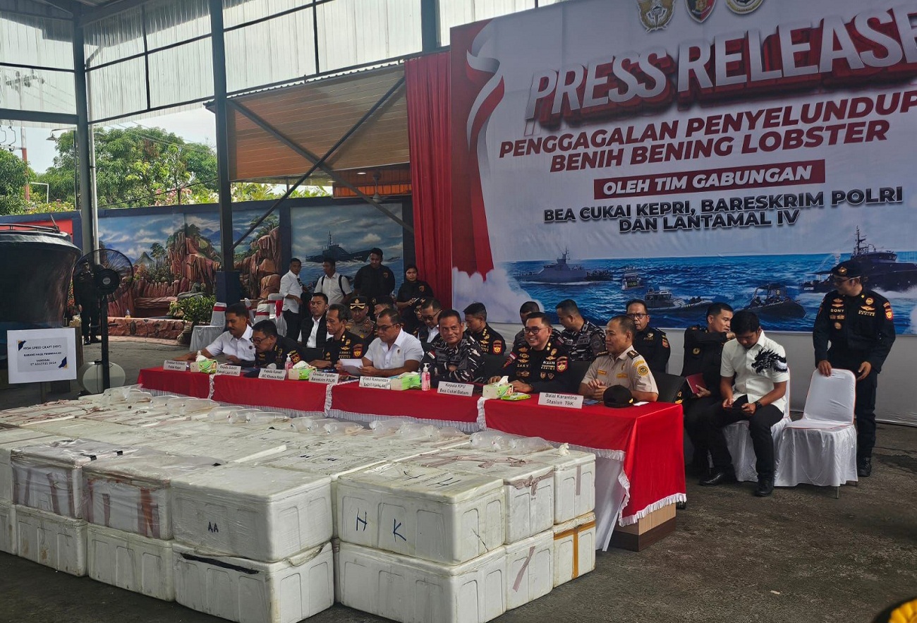  Benih Lobster Rp23,6 Miliar Diamankan, Bareskrim: Bakal Diselundupkan ke Luar Negeri