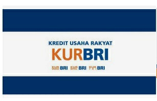 Panduan Agar Pinjaman KUR di Bank BRI Cepat Cair, Gampang Banget Gak Pakai Ribet