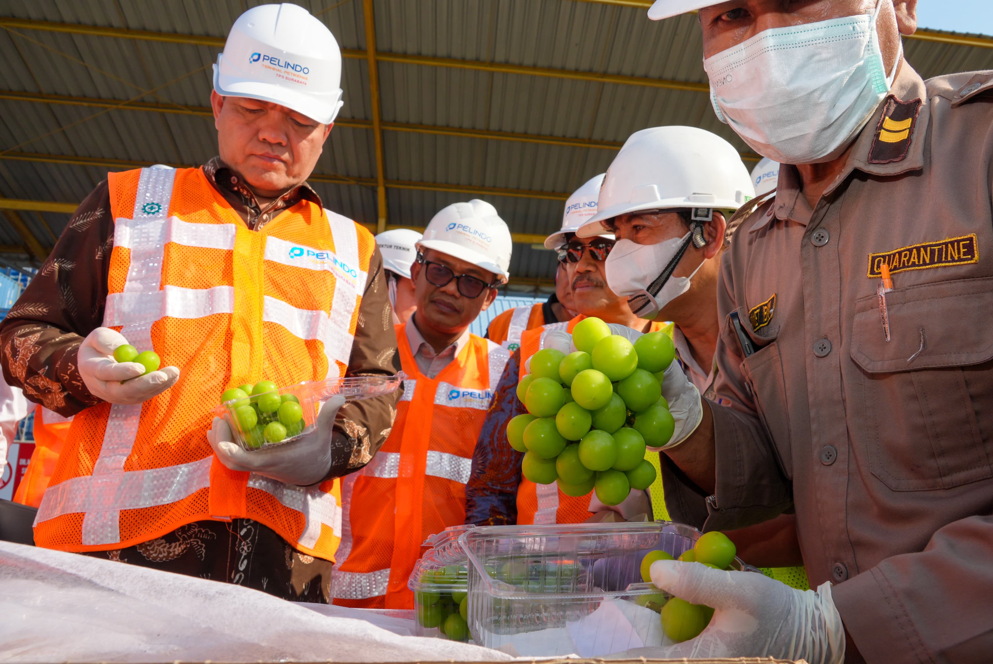 Badan Karantina Indonesia Sebut Anggur Shine Muscat yang Beredar di Indonesia Aman Pestisida 