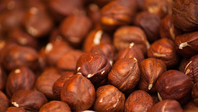 Kacang Hazelnut: Manfaatnya yang Luar Biasa bagi Kesehatan
