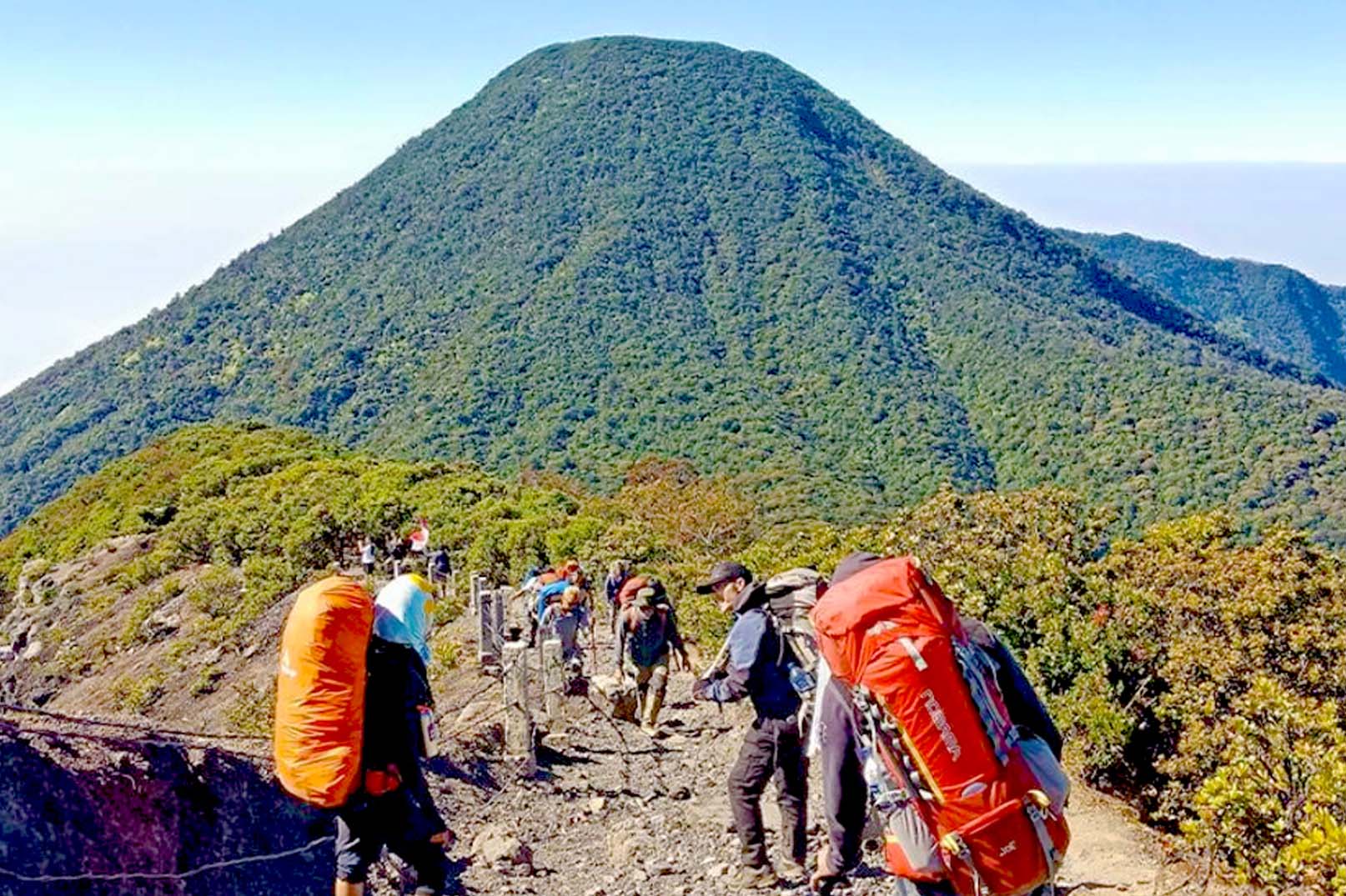 Eksplorasi Keindahan Taman Nasional Gunung Gede Pangrango