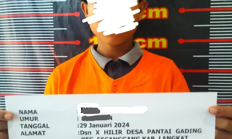 Sempat Viral Karena Aduannya Tak Digubris, Pelaku Rudapaksa Terhadap Anak di Langkat Diamankan Polisi