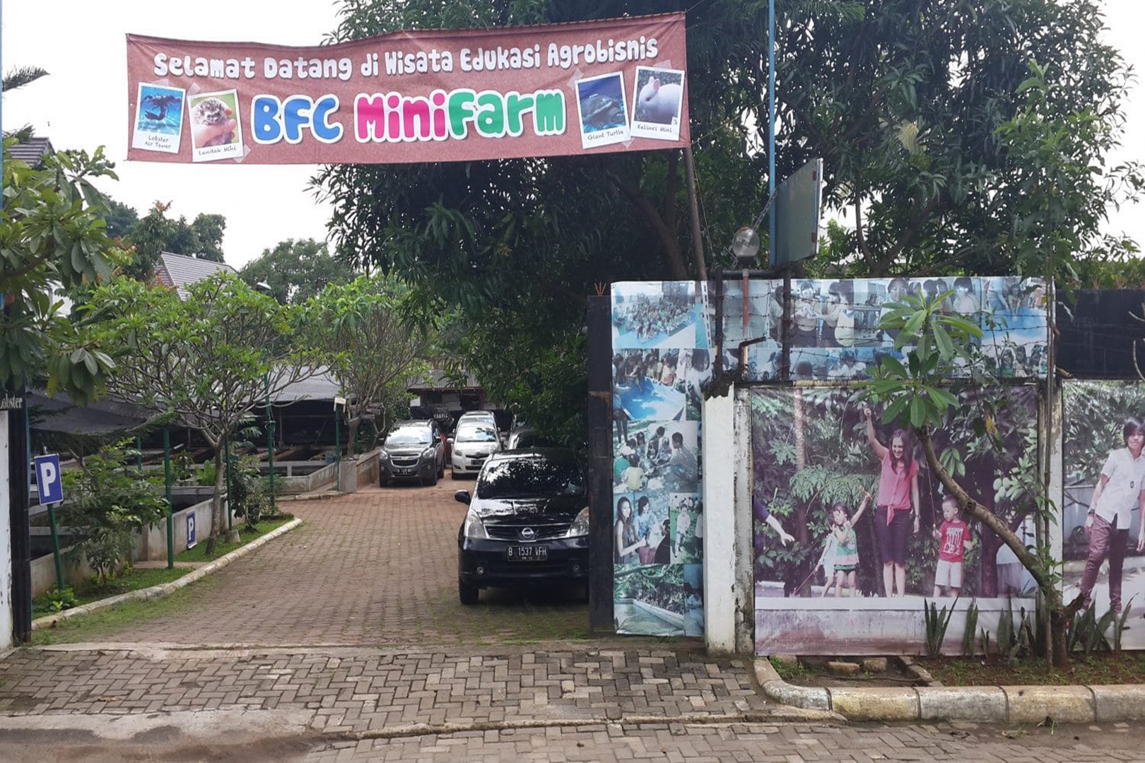 Wisata Edukasi Bintaro Fish Center Mini Farm : Tempat Menyenangkan untuk Belajar dan Berinteraksi dengan Hewan