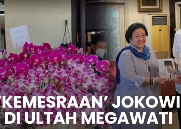 Jokowi Kirim Bunga Anggrek Bulan untuk Ketum PDIP Megawati, Begini Isi Pesannya