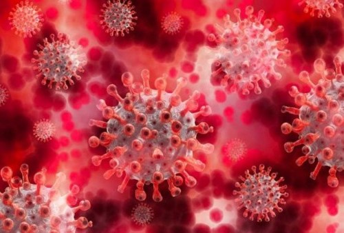 Heboh! Virus Baru Varian Pirola Kembali Menyerang AS hingga Inggris: Lebih Ganas dari Delta dan Omicron!