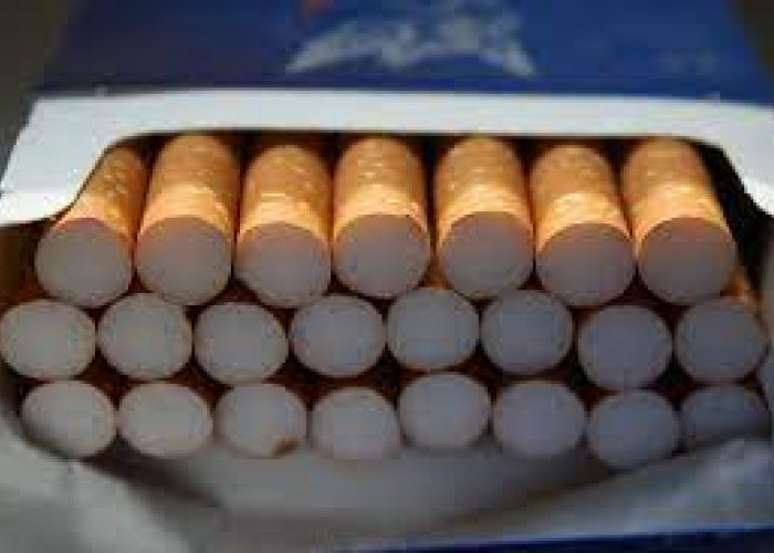Cukai Naik 10 Persen, Harga Rokok di 2024 Berapa? Cek di Sini