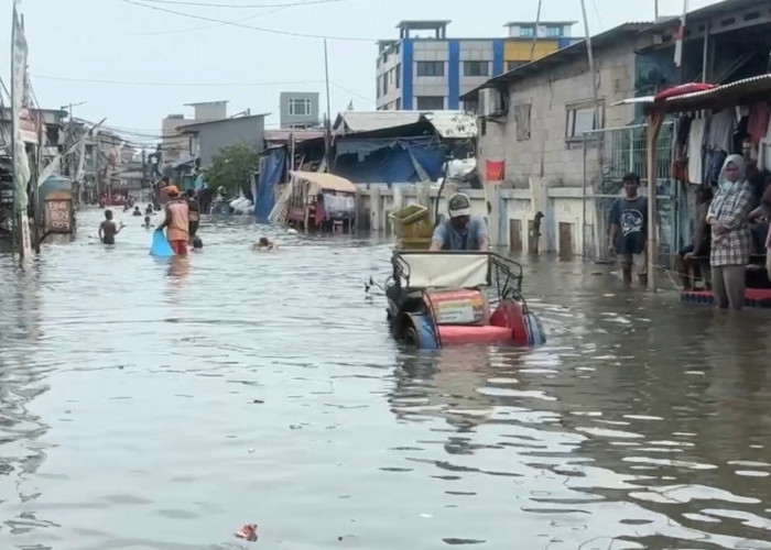 Sering Terendam Banjir Rob Tapi Ogah Dipindah ke Rusun, Warga: Lebih Baik Pemerintah Bangun Tanggul 