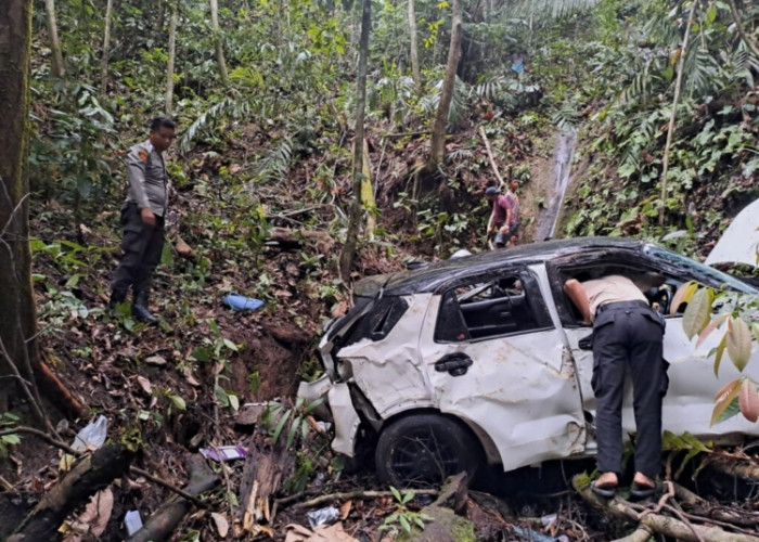 Tragis! Mobil Masuk Jurang Sedalam 50 Meter di Pesisir Barat Lampung, Bayi Usia 10 Bulan tewas