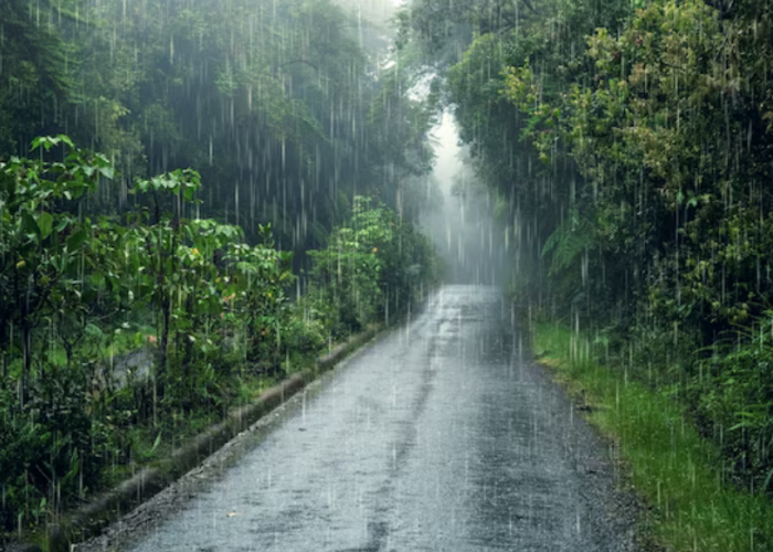 Sejumlah Daerah Berpotensi Hujan Lebat Disertai Petir, BMKG Keluarkan Peringatan Dini 20 Februari 2024