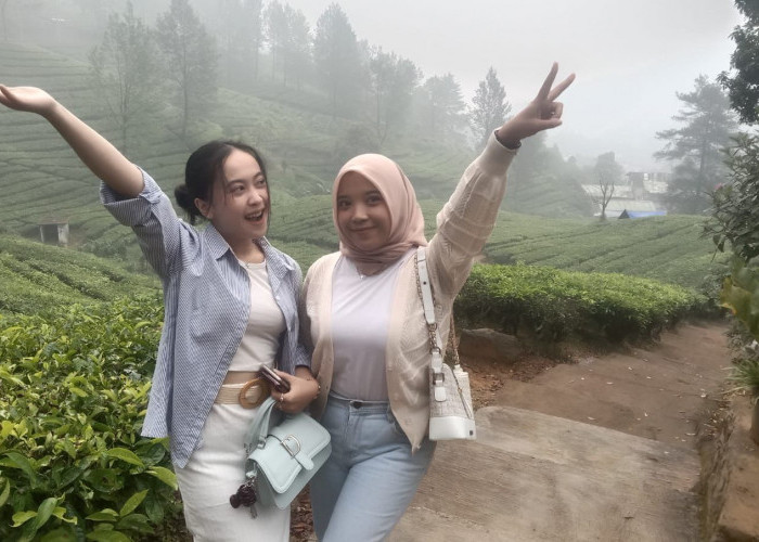 Murah dan Instagramable, Agro Wisata Gunung Mas Puncak Bogor Cocok Untuk Berlibur