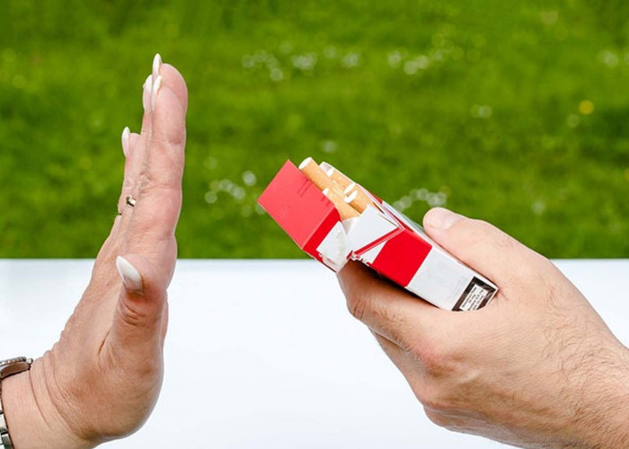 Tembakau: Mengungkap Fakta, Dampak, dan Upaya Pengendalian