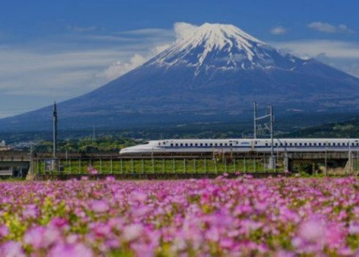 Sederet Fakta Unik dari Gunung Fuji yang Menjadi Maskot Negara Jepang