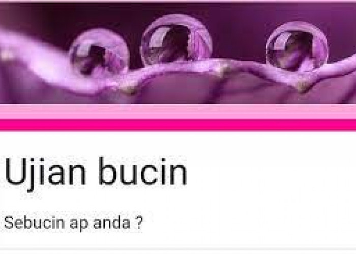 Seberapa Bucin- kah Dirimu ? Gunakan Link Ini