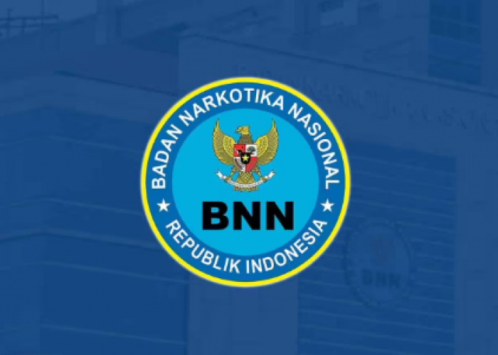 BNN Berhasil Tangkap 2 kurir, Barang Bukti Seberat 200 Kilo Ganja Dimusnakan dari Lahan 4 Hektar di Aceh