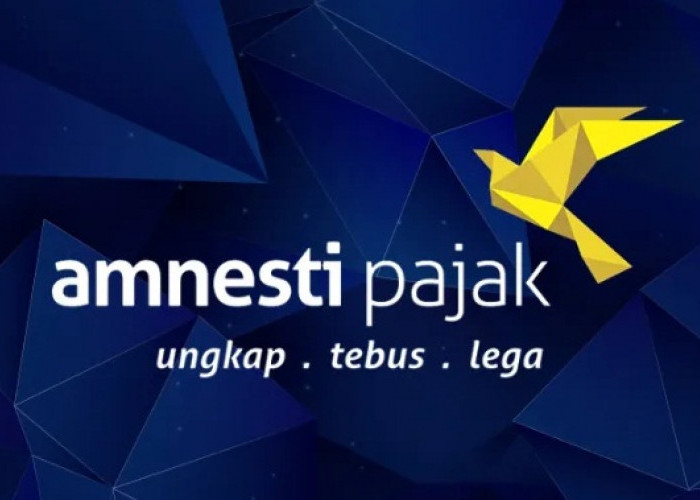 Tax Amnesty Jilid III, Ekonom: Mencederai Rasa Keadilan