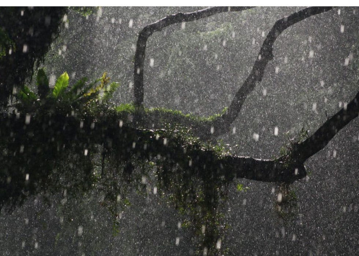 Wilayah Yang Berpotensi Hujan Menurut Prakiraan Cuaca BMKG Hari Ini