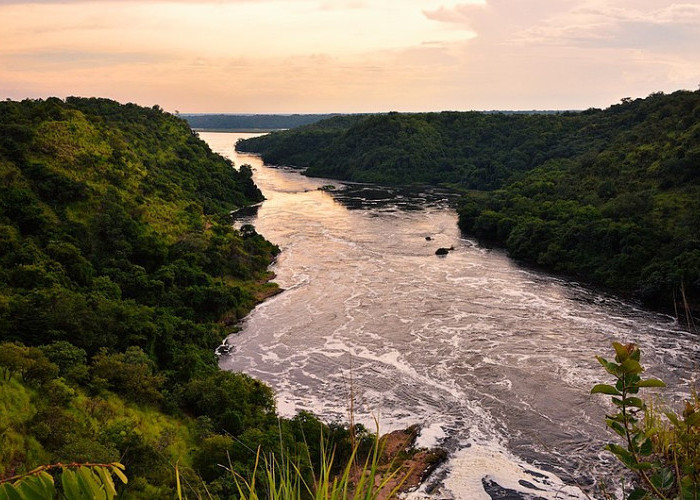Sungai Nil Masuk Guinness World Records Sebagai Sungai Terpanjang di Dunia, Berikut Daftarnya: