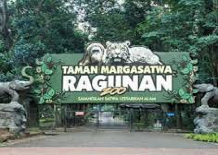 Mengenal arti Taman Margasatwa atau Kebun Binatang, Tempat Rekreasi, Penelitian dan Konservasi Hewan Langka