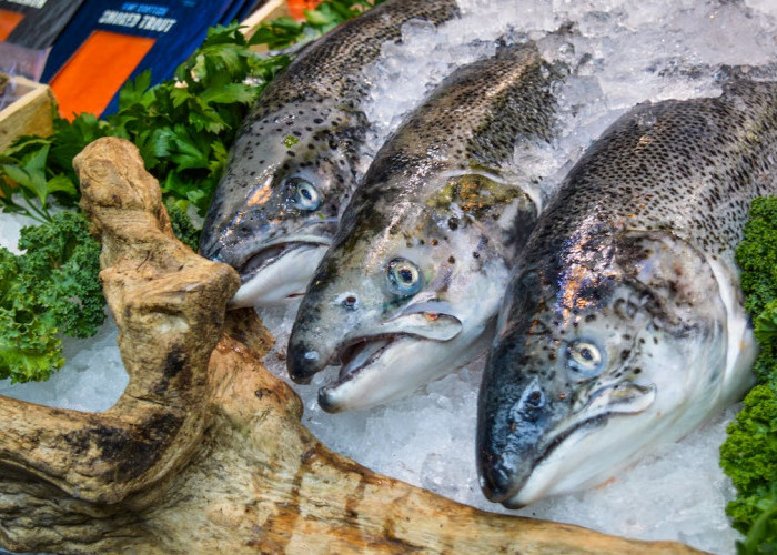 Jangan Digoreng, Ini 5 Cara Memasak Ikan yang Paling Sehat Tanpa Menghilangkan Nutrisi 