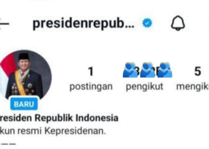 Akses Global! Istana Rilis Akun Instagram Resmi Presiden RI dan Republik Indonesia