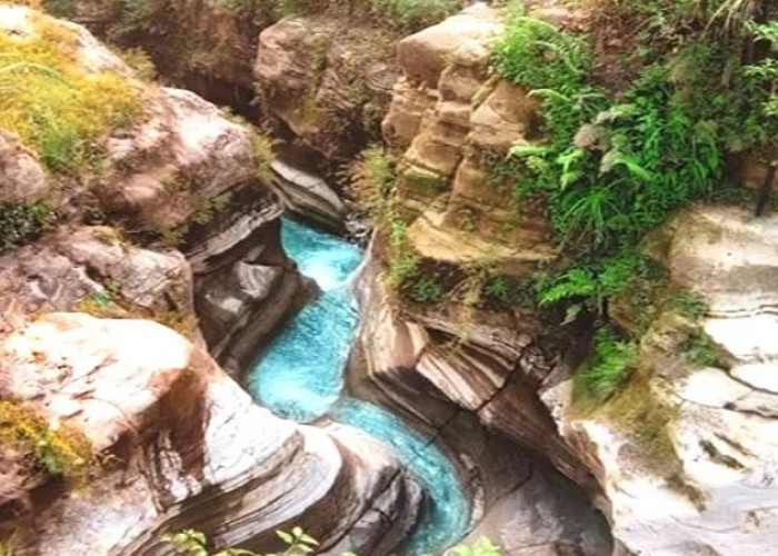 5 Rekomendasi Lokasi Wisata Alam di Bogor yang Cocok untuk Melepas Penat 
