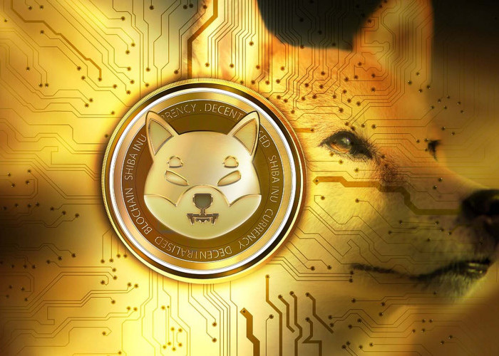 Shiba Inu Coin: Fenomena Terbaru dalam Dunia Cryptocurrency