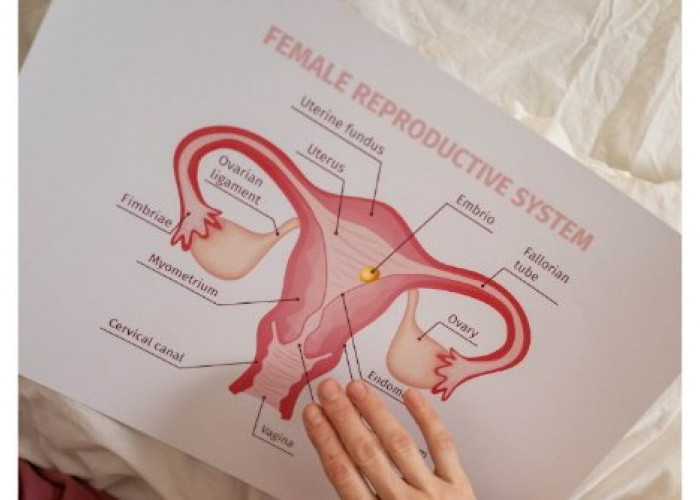 Kenali Gaya Hidup yang Bisa Mengancam Kesehatan Reproduksi, Capai Kualitas Optimal 