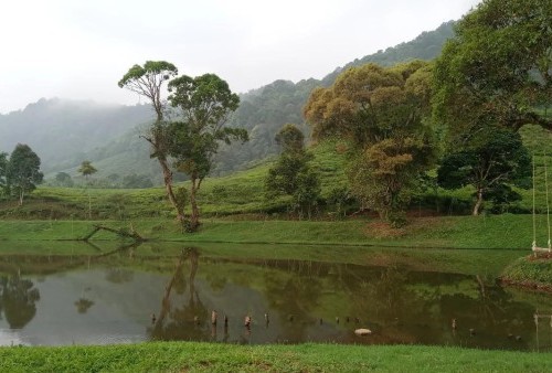 Menikmati Keindahan Alam: 8 Danau di Bogor yang Ideal untuk Piknik