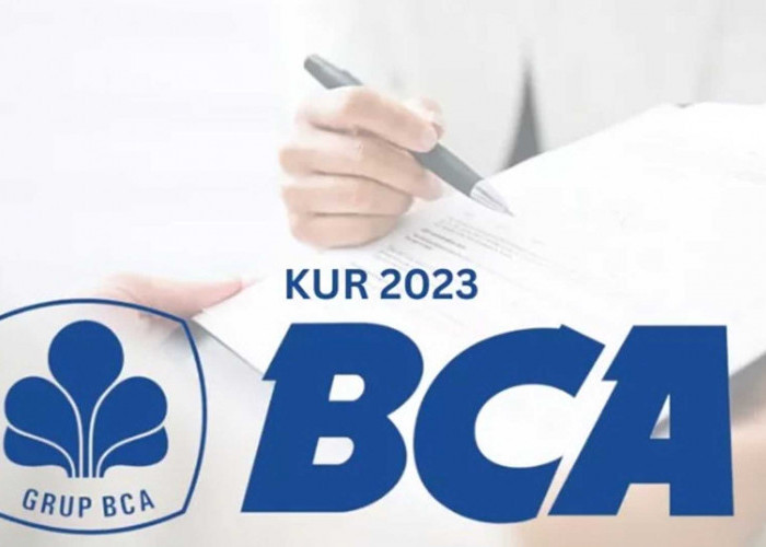 KUR BCA 2023: Pengajuan KUR Tanpa Jaminan Rp100 Juta sampai Rp500 Juta Angsuran Rendah, Cek Disini